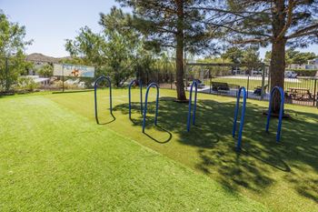 Pet park